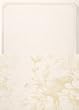Gartner Ivory Floral Invitation Kit