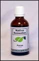 BrightSpark for ADD and ADHD, Natural, Children, Teens, Help your child focus