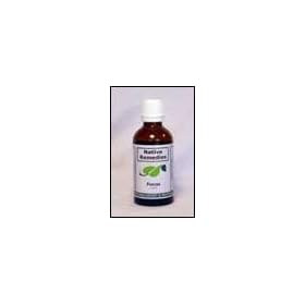 Brightspark For Children Add And Adhd Native Remedies