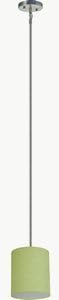 Whitfield Lighting SH0708-RLSS Modena - One Light Pendant, Satin Steel Finish with Rich Lime Glass