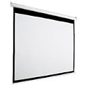 10FT Diagonal Accuscreens Ntsc Manual Wall Ceiling 72X96IN