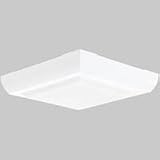 Progress Lighting White Two-Light Outdoor Fluorescent Flush Mount