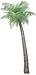 Walls of the Wild Small Palm Tree Wall Decal (36 in. x 72 in.)