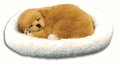 Review westminster  / Sleeping Dog Pet Nap - Tan Lab [Misc.]