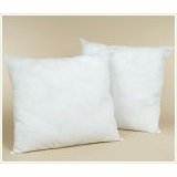 All New Material White Euro Pillow Protector,Set of Two -26x26 by Natural Comfort