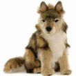 Wolf Cub Sitting Plush Toy 12" High