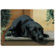 Black Labrador Lab on Porch Pet Placemat Feeding Mat