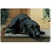   - Black Labrador Lab on Porch Pet Placemat Feeding Mat