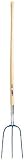 11rSxFIcnNL. SL160  Jackson Professional Tools 0271810500 Manure/Compost Hay Forks