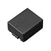 Panasonic DMW-BLB13E9  Rechargeable Battery for Lumix G1
