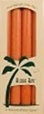 Review Aloha Bay  / Aloha Bay Candle 9 Inch Palm Taper Orange