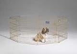 Midwest Container 8 Panel Exercise Pen Gold 24x24 Inch - 540-24