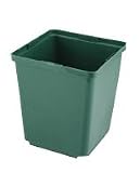 Kord Square Pots 5.5