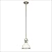Tools & Hardware : 2622-SN - Hudson Valley Randolph 1-Light Pendant in Satin Nickel