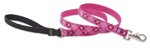 Lupine 3/4 Inch Padded Handle Dog Lead-6 Foot Length-Puppy Love Pattern