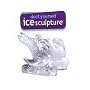 DO IT YOURSELF SWAN ICE SCULPTURE