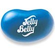 Blueberry Jelly Belly - 16 oz