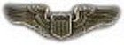 Pilot Wings Small Pin