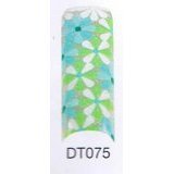 Shooting Star Designer French Tips DT075