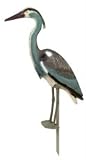  : Heron Scare