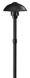 Hinkley Black Ellipse Low Voltage Landscape Light