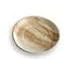 25 assiettes palmier rondes biodegradables diam. 22 cm