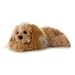 Plush Maltipoo Dog Flopsie 12"
