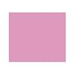 The Rave Cosmetics Lip Gloss - Orchid