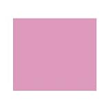 The Rave Cosmetics Lip Gloss - Orchid