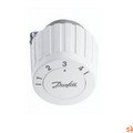 Danfoss