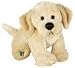 Webkinz Yellow Lab with Trading Cards