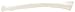 3B Scientific A45/3R Plastic Right Human Radius Bone Model
