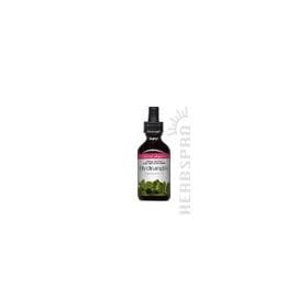 Hydrangea Extract - 1 oz. - Liquid by Eclectic Institute Inc