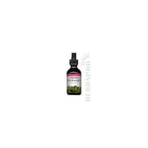 Hydrangea Extract - 1 oz. - Liquid by Eclectic Institute Inc