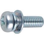 【クリックで詳細表示】トラスコ中山 (TRUSCO) ナベ頭組込ボルト P-4 三価クロメート 白 【M5×12】 B751-0512