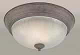 20001-02-09 Forte Lighting