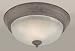 20001-02-09 Forte Lighting