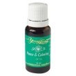 Young Living Essential Oil Peace and Calming 15 Ml 11sGwetR1eL. SL500 AA110 Young Living Essential Oil Peace and Calming 15 Ml