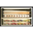 BCW BallQube Baseball Bat Holder - Sports Memoriablia Display Case - Sportscards Collecting Supplies