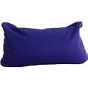 Blue Travel Cushtie