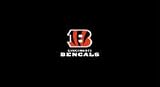 Cincinnati Bengals Pool Table Felt
