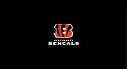 Cincinnati Bengals Pool Table Felt