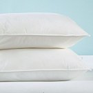 Medallion Gold Standard Pillow