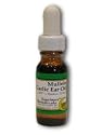 Equinox Mullein Garlic Ear Oil 0.5 oz oil