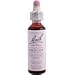 Bach Wild Oat (1 x 20 ML)
