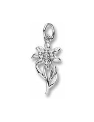 Edelweiss Charm
