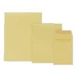 Quality Park 43567 Quality Park Redi-Seal Catalog Envelopes, 9x12,
Kraft, 100/Box