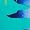 Blue Mix
