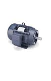 10hp 1170RPM 256TC Frame TEFC C-Face (Rigid Base) 208-230/460 Volts Leeson Electric Motor # G150139