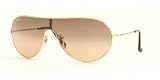 Ray Ban Sunglasses RB3250 Arista